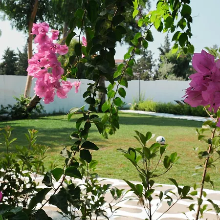 Hotel Sigacik Gaea