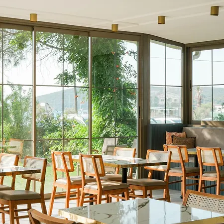 Sigacik Gaea * 伊兹密尔